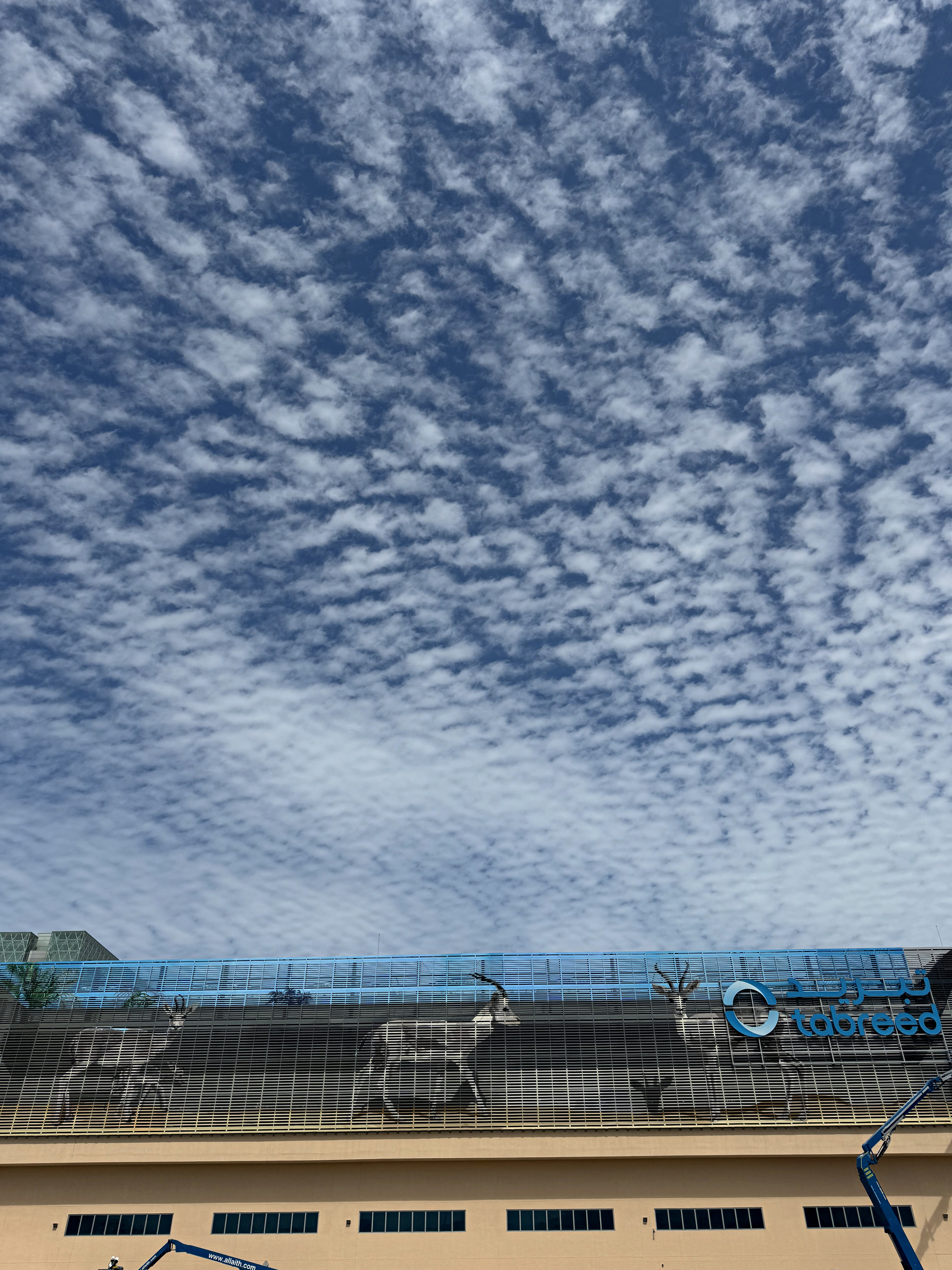 The Tabreed mural and bilingual identity below a dramatic Abu Dhabi sky