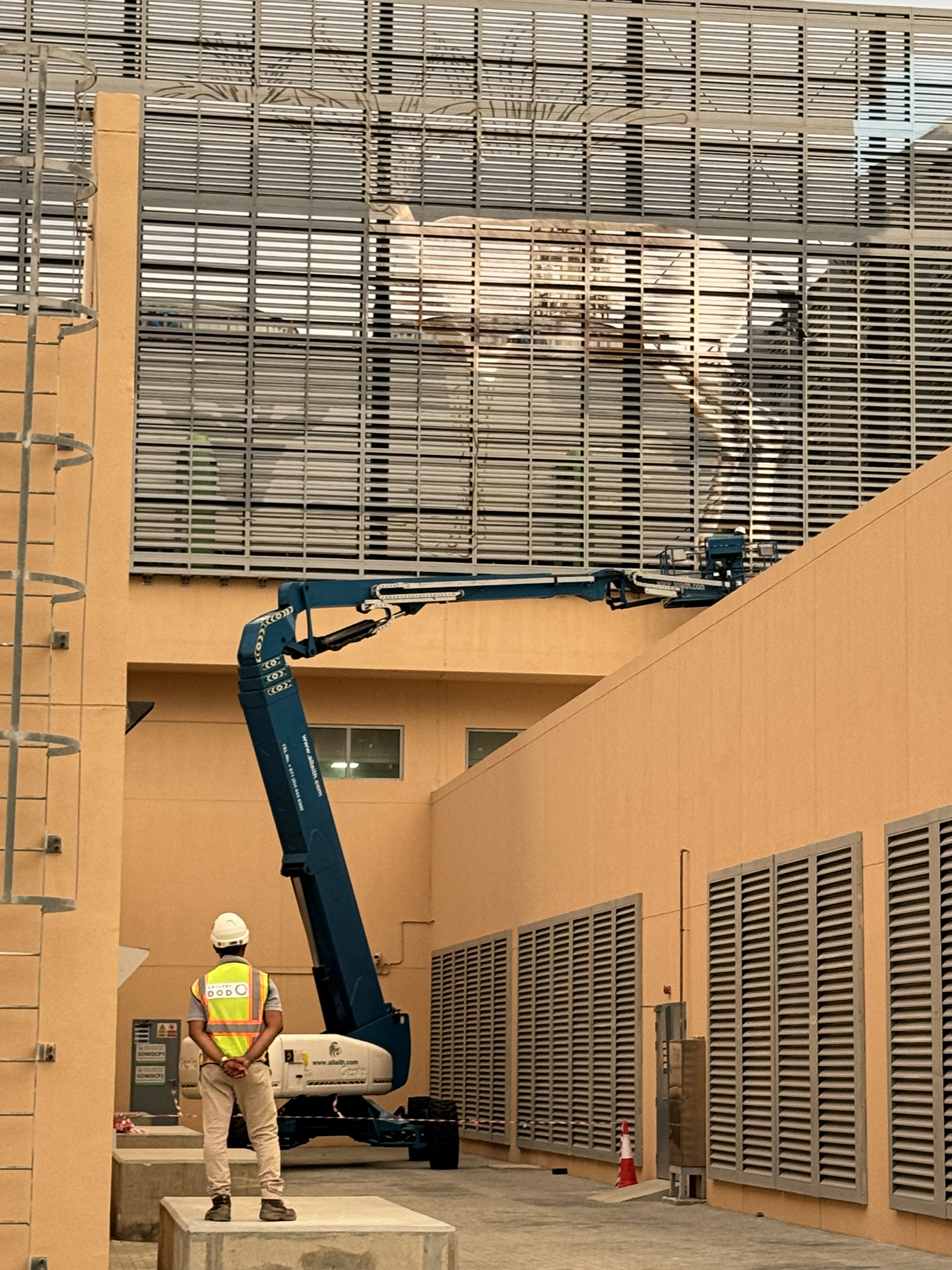 Gallery Dod specialist overseeing elevated mural work within the restricted site